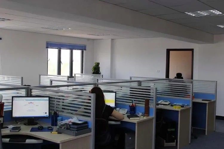 중국 DianBingYuan Technology Co., Ltd 회사 프로필